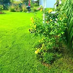 Appartamento Seasunflowers