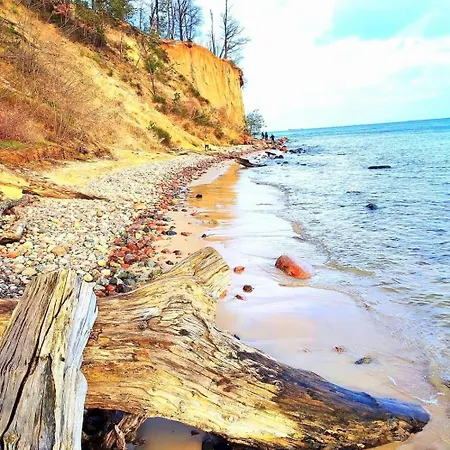 Seasunflowers 公寓 格丁尼亚