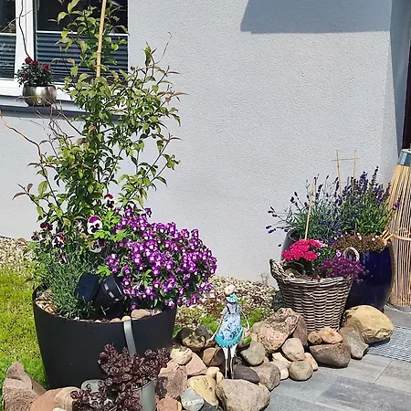 Seasunflowers 格丁尼亚