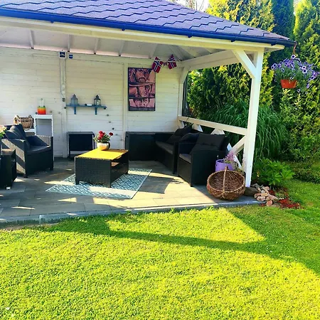 Seasunflowers * 格丁尼亚