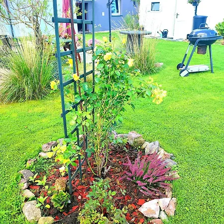 Seasunflowers * 格丁尼亚