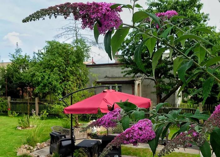 דירה Seasunflowers