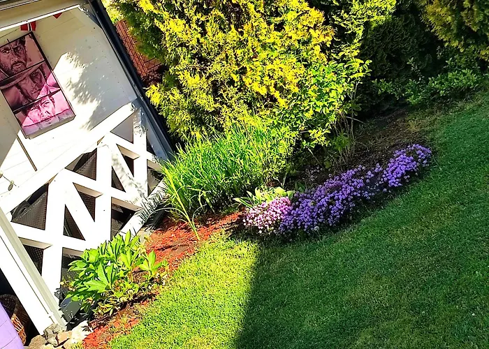 Seasunflowers * גדינייה