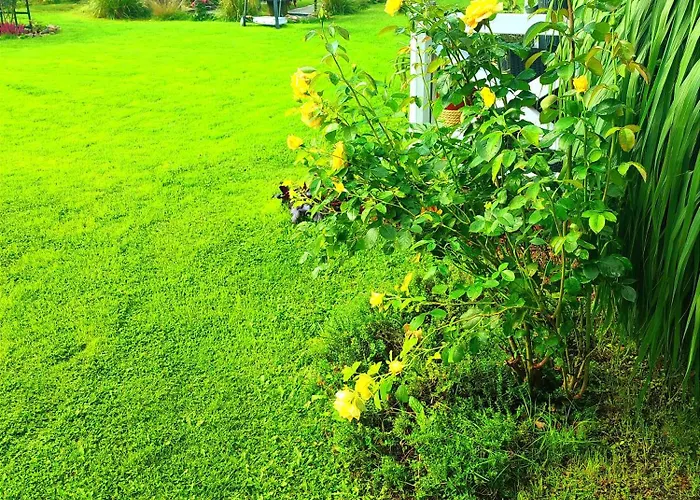 דירה Seasunflowers