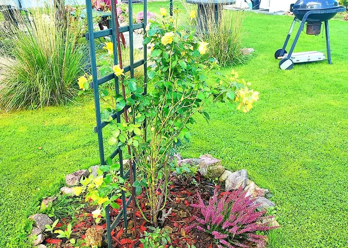 Seasunflowers * Gdynia