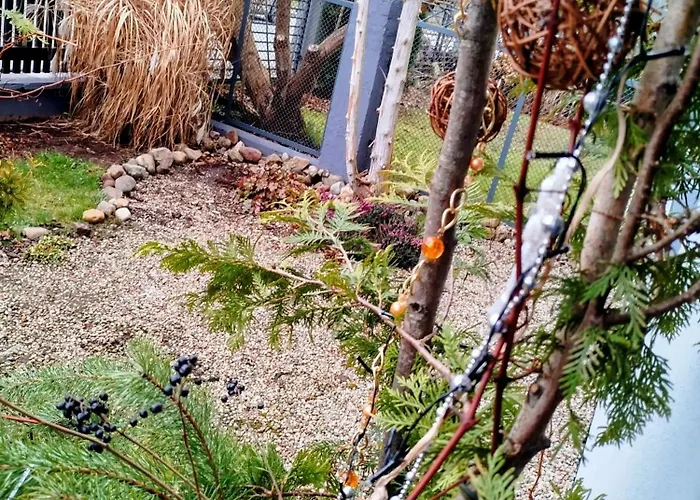 דירה Seasunflowers